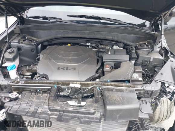 2024 Kia Telluride S with VIN 5XYP6DGC1RG528397, listed as a IAAI auction lot 42377741 with 9,572 mi miles and . Bid and sale history available at DreamBid. Image 10.