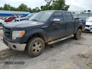 2009 Ford F-150 XL with VIN 1FTPW14V69FB18458, listed as a Copart auction lot 55684195 with 338,034 mi miles and Salvage title. Bid and sale history available at DreamBid. Image 1.