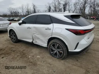 2023 Lexus RX with VIN 2T2BAMCA7PC029184, listed as a Copart auction lot 47951745 with 5,231 mi miles and Salvage Title. Bid and sale history available at carsss.com. Image 2.