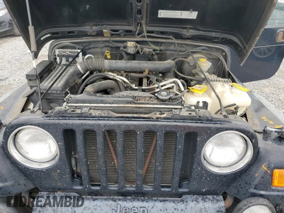 2003 Jeep Wrangler Sport with VIN 1J4FA49S43P321998, listed as a Copart auction lot 60860444 with 109,856 mi miles and Salvage Title. Bid and sale history available at carsss.com. Image 11.