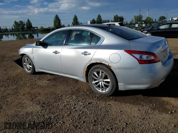 2010 Nissan Maxima SV with VIN 1N4AA5AP7AC871283, listed as a Copart auction lot 66394785 with 295,925 mi miles and Salvage title. Bid and sale history available at DreamBid. Image 2.