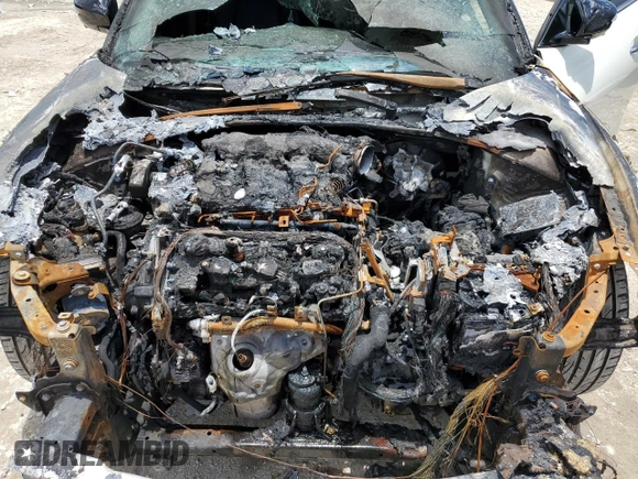 2017 Nissan Maxima SV with VIN 1N4AA6AP8HC436045, listed as a Copart auction lot 55585533 with Not Provided miles and Non Repairable. Bid and sale history available at carsss.com. Image 11.