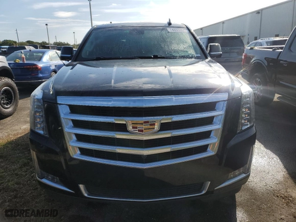 2020 Cadillac Escalade Luxury with VIN 1GYS3BKJ9LR223102, listed as a Copart auction lot 74693304 with 0 mi miles and Salvage Title. Bid and sale history available at carsss.com. Image 5.