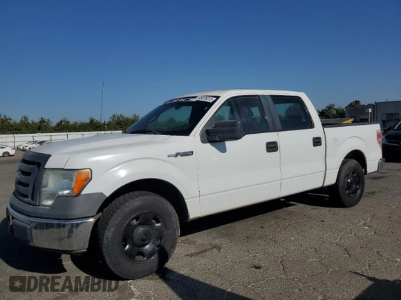 2009 Ford F-150 XL with VIN 1FTRW12W19KC95673, listed as a Copart auction lot 65025015 with 113,221 mi miles and Non repairable. Bid and sale history available at DreamBid. Image 1.