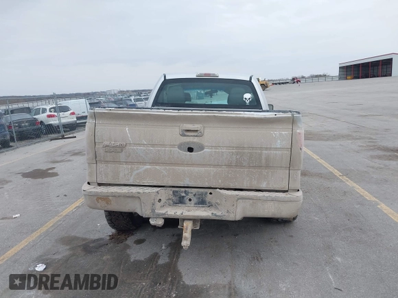 2010 Ford F-150 XL with VIN 1FTEX1CW6AFA77378, listed as a IAAI auction lot 41710467 with 203,080 mi miles. Bid and sale history available at carsss.com. Image 17.