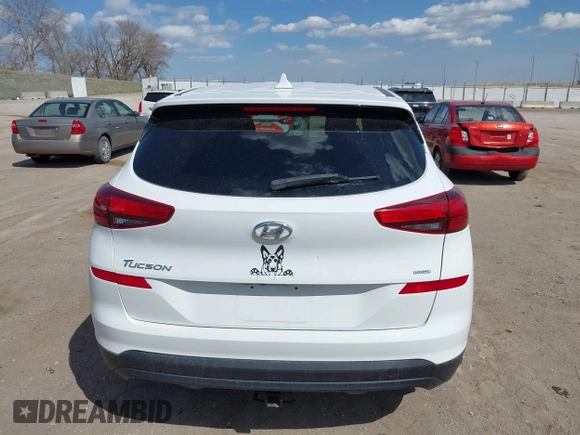 2019 Hyundai Tucson SE with VIN KM8J2CA43KU870933, listed as a IAAI auction lot 41972884 with 53,029 mi miles. Bid and sale history available at carsss.com. Image 17.