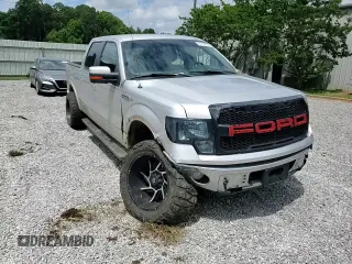 2010 Ford F-150 XL with VIN 1FTEW1C84AKE62319, listed as a Copart auction lot 59796895 with 179,589 mi miles and Salvage title. Bid and sale history available at DreamBid. Image 13.
