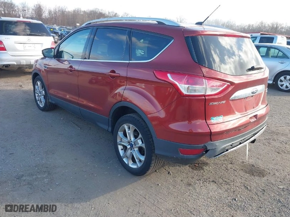 2014 Ford Escape Titanium with VIN 1FMCU9JX8EUB05561, listed as a IAAI auction lot 41602049 with 164,951 mi miles. Bid and sale history available at carsss.com. Image 3.