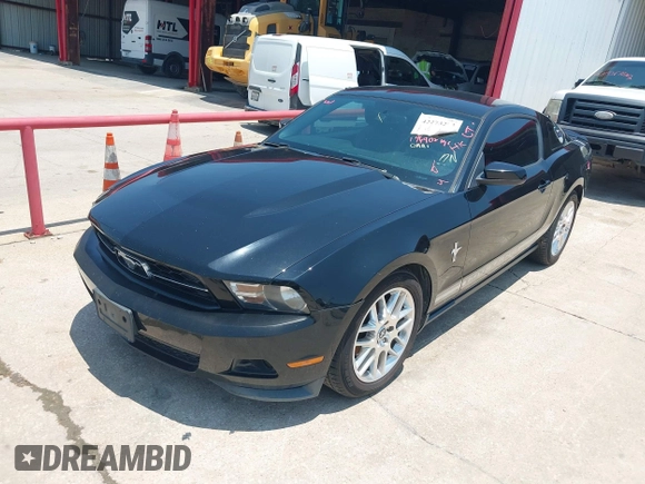 2012 Ford Mustang Premium with VIN 1ZVBP8AM0C5221428, listed as a IAAI auction lot 42273202 with 196,402 mi miles and . Bid and sale history available at DreamBid. Image 6.