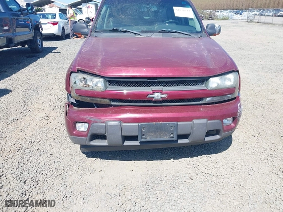 2005 Chevrolet TrailBlazer LS with VIN 1GNET16S356112993, listed as a IAAI auction lot 42036437 with 259,684 mi miles. Bid and sale history available at carsss.com. Image 6.