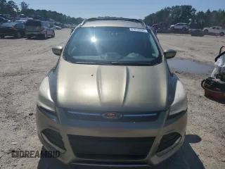 2013 Ford Escape SE with VIN 1FMCU0GX0DUD65115, listed as a Copart auction lot 61616295 with 175,375 mi miles and Salvage title. Bid and sale history available at DreamBid. Image 5.