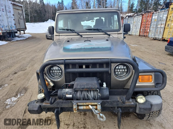 2004 Jeep Wrangler Sahara with VIN 1J4FA59S64P774768, listed as a Copart auction lot 49868895 with 120,800 mi miles and Salvage Title. Bid and sale history available at DreamBid. Image 5.