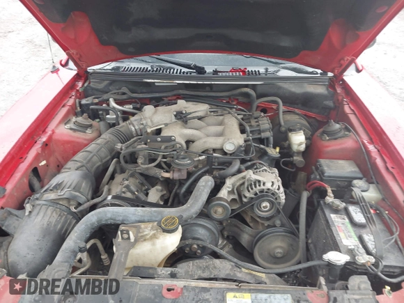 2003 Ford Mustang Deluxe with VIN 1FAFP44433F314534, listed as a IAAI auction lot 42368748 with 171,980 mi miles and . Bid and sale history available at DreamBid. Image 10.