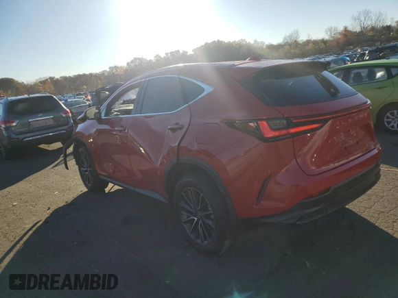 2024 Lexus NX with VIN 2T2AGCEZ5RC050948, listed as a Copart auction lot 76802244 with 10,263 mi miles and Salvage Title. Bid and sale history available at carsss.com. Image 2.