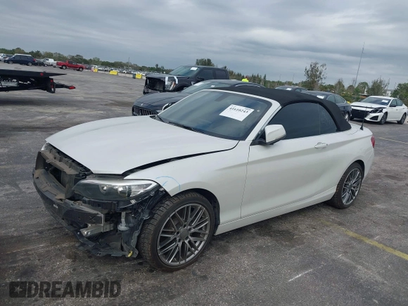 2017 BMW 2 Series 230i with VIN WBA2K9C38HV950695, listed as a IAAI auction lot 41610243 with 102,191 mi miles and . Bid and sale history available at DreamBid. Image 18.