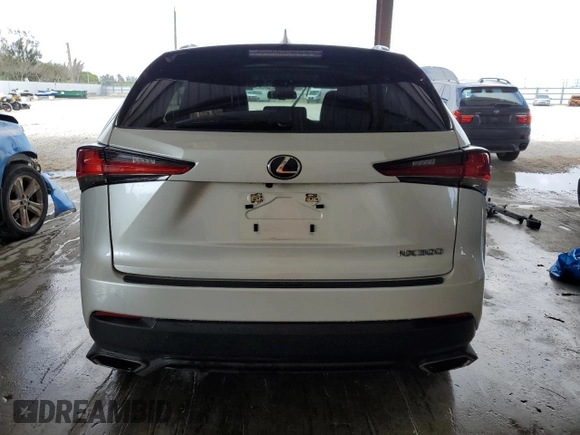 2021 Lexus NX with VIN JTJDARBZ0M5023461, listed as a Copart auction lot 48062765 with 91,290 mi miles and Salvage Title. Bid and sale history available at carsss.com. Image 6.