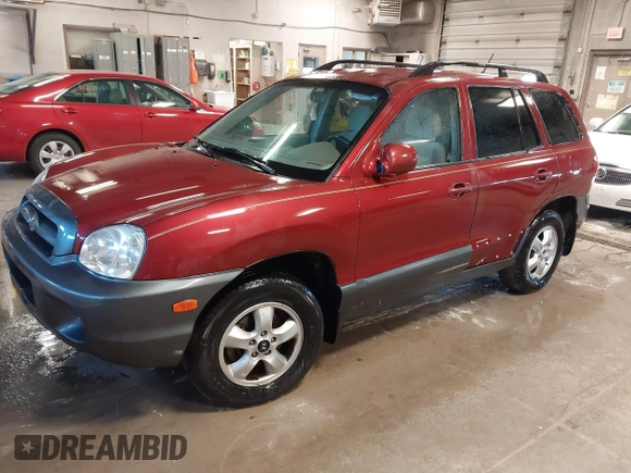 2005 Hyundai Santa Fe GLS with VIN KM8SC13D45U968781, listed as a IAAI auction lot 41736801 with 182,976 mi miles. Bid and sale history available at carsss.com. Image 2.