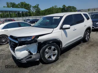 2024 Honda Pilot EX-L with VIN 5FNYG2H49RB014818, listed as a Copart auction lot 54785755 with 24,328 mi miles and Salvage title. Bid and sale history available at DreamBid. Image 1.