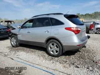 2009 Hyundai Veracruz GLS with VIN KM8NU13C19U081534, listed as a Copart auction lot 69118074 with 265,336 mi miles and Salvage title. Bid and sale history available at DreamBid. Image 2.
