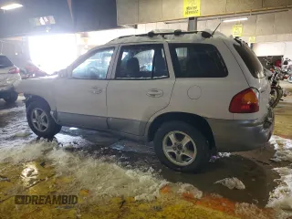 2004 Hyundai Santa Fe GLS with VIN KM8SC73E54U767532, listed as a Copart auction lot 41648395 with 125,439 mi miles and Salvage Title. Bid and sale history available at carsss.com. Image 2.