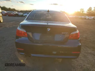 2010 BMW 5 Series 528i with VIN WBANU5C56AC442034, listed as a Copart auction lot 83315124 with 167,348 mi miles and Salvage Title. Bid and sale history available at carsss.com. Image 6.