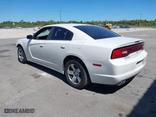 2013 Dodge Charger Police with VIN 2C3CDXAT0DH696299, listed as a IAAI auction lot 41734160 with 108,245 mi miles. Bid and sale history available at carsss.com. Image 3.