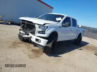 2017 Ford F-150 XL with VIN 1FTEW1EF2HKD29256, listed as a IAAI auction lot 40857081 with 184,410 mi miles and . Bid and sale history available at DreamBid. Image 2.