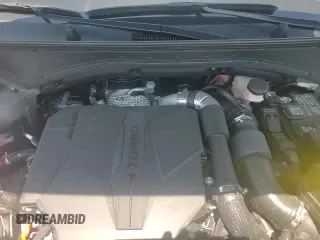 2024 Hyundai Santa Fe Limited с VIN 5NMP44GL1RH002346, выставлен на аукционе Copart как лот 66944035 с пробегом 6 310 миль миль и Списание • Salvage title. История ставок и продаж доступна на DreamBid. Изображение 15.