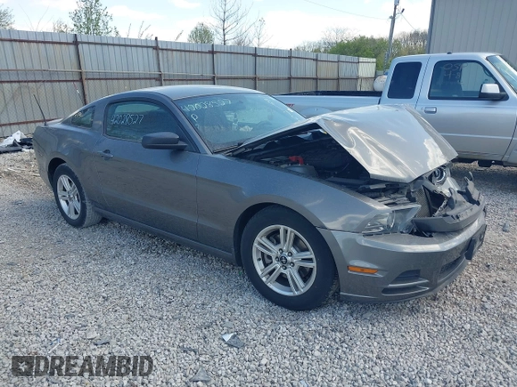 2013 Ford Mustang V6 с VIN 1ZVBP8AM1D5261762, выставлен на аукционе IAAI как лот 42028527 с пробегом 113 224 миль миль и . История ставок и продаж доступна на DreamBid. Изображение 1.