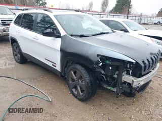 2017 Jeep Cherokee Latitude with VIN 1C4PJLCB5HW514171, listed as a IAAI auction lot 41572117 with 110,632 mi miles and . Bid and sale history available at DreamBid. Image 1.