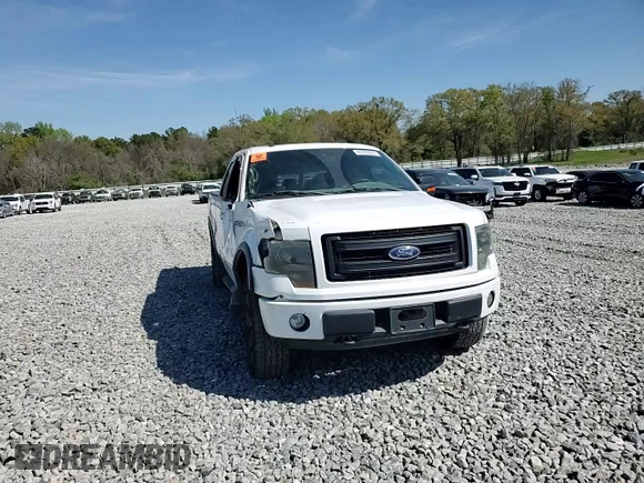 2013 Ford F-150 XL with VIN 1FTFX1EF9DFC86135, listed as a Copart auction lot 49378005 with 92,192 mi miles and Salvage title. Bid and sale history available at DreamBid. Image 13.
