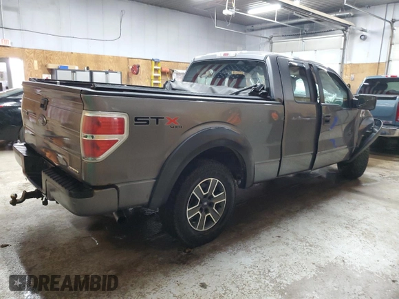 2013 Ford F-150 XL with VIN 1FTFX1EF7DFC53067, listed as a Copart auction lot 48018815 with 0 mi miles and Clean Title. Bid and sale history available at carsss.com. Image 3.