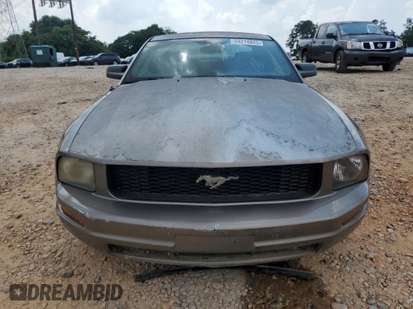 2005 Ford Mustang Deluxe with VIN 1ZVFT80N555169501, listed as a Copart auction lot 64214825 with Not provided miles and Clean title. Bid and sale history available at DreamBid. Image 5.