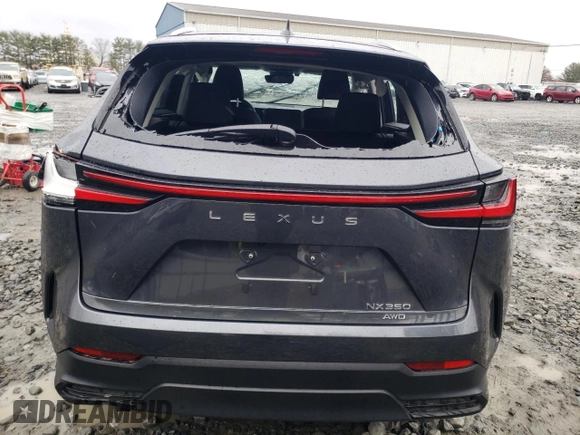 2024 Lexus NX with VIN 2T2AGCEZ4RC053310, listed as a Copart auction lot 81652604 with 10,328 mi miles and Salvage Title. Bid and sale history available at carsss.com. Image 6.