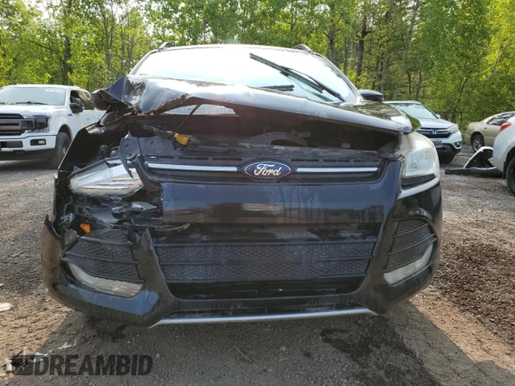 2014 Ford Escape SE with VIN 1FMCU9GX2EUB50177, listed as a Copart auction lot 58579645 with 228,017 mi miles and Salvage title. Bid and sale history available at DreamBid. Image 5.