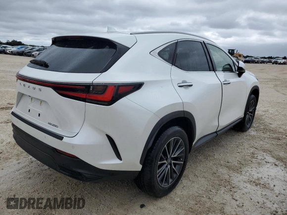2025 Lexus NX with VIN JTJGDCAZ2S2016027, listed as a Copart auction lot 74098194 with 0 mi miles and Non Repairable. Bid and sale history available at carsss.com. Image 3.