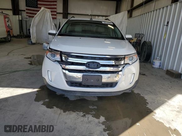 2013 Ford Edge SEL with VIN 2FMDK3J92DBB42232, listed as a Copart auction lot 49133005 with 204,875 mi miles and Salvage Title. Bid and sale history available at carsss.com. Image 5.