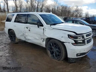 2019 Chevrolet Tahoe LT with VIN 1GNSKBKC8KR392219, listed as a Copart auction lot 46624295 with 132,660 mi miles and Clean Title. Bid and sale history available at carsss.com. Image 4.