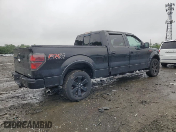 2013 Ford F-150 XL with VIN 1FTFW1ET6DFA69537, listed as a Copart auction lot 58873525 with 202,323 mi miles and Clean title. Bid and sale history available at DreamBid. Image 3.