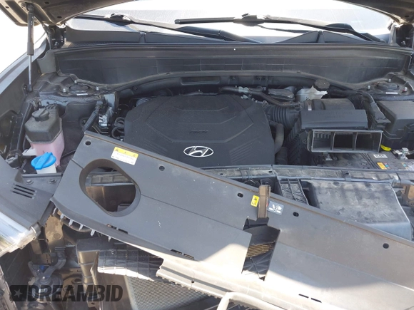 2022 Hyundai Palisade SEL с VIN KM8R4DHE1NU477034, выставлен на аукционе IAAI как лот 42243297 с пробегом 56 962 миль миль и . История ставок и продаж доступна на DreamBid. Изображение 10.