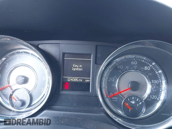 2016 Chrysler Town & Country Touring with VIN 2C4RC1BGXGR185642, listed as a IAAI auction lot 42092927 with 124,085 mi miles and . Bid and sale history available at DreamBid. Image 15.