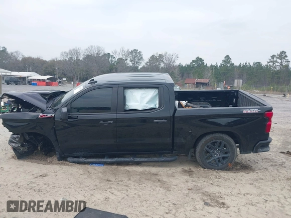 2024 Chevrolet Silverado 1500 Custom Trail Boss with VIN 3GCUDCED1RG202440, listed as a IAAI auction lot 41795793 with 1 mi miles. Bid and sale history available at carsss.com. Image 14.