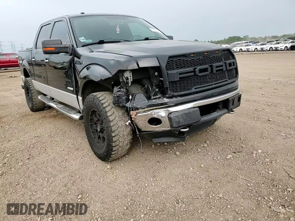 2011 Ford F-150 XLT with VIN 1FTFW1ET4BFC98666, listed as a Copart auction lot 59034455 with 175,742 mi miles and Salvage title. Bid and sale history available at DreamBid. Image 13.
