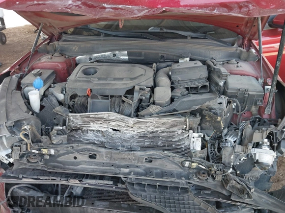2019 Kia Optima LX with VIN 5XXGT4L31KG310064, listed as a IAAI auction lot 41703047 with 177,590 mi miles. Bid and sale history available at carsss.com. Image 10.