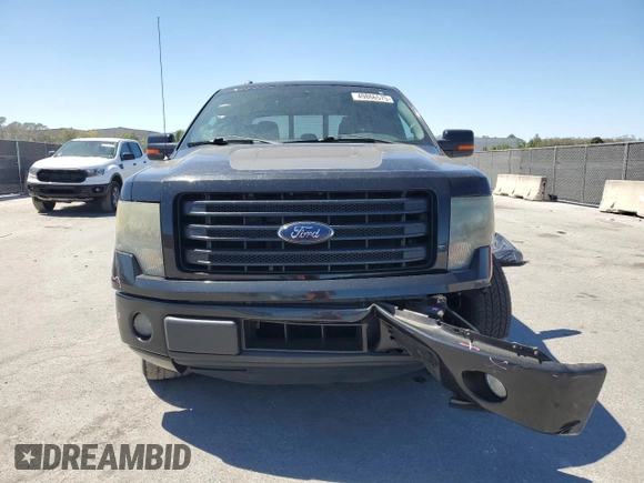 2014 Ford F-150 XL with VIN 1FTFW1CF4EFC48206, listed as a Copart auction lot 49866575 with 157,879 mi miles and Salvage Title. Bid and sale history available at carsss.com. Image 5.