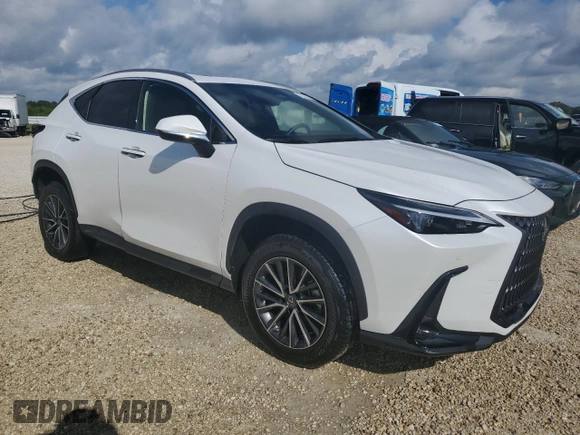 2023 Lexus NX with VIN JTJGDCAZ2P5009827, listed as a Copart auction lot 73701374 with Not Provided miles and Non Repairable. Bid and sale history available at carsss.com. Image 4.
