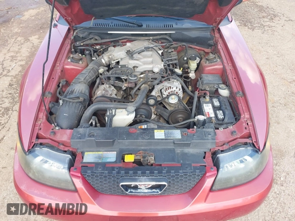2001 Ford Mustang Deluxe with VIN 1FAFP44441F135562, listed as a IAAI auction lot 42343630 with 156,394 mi miles and . Bid and sale history available at DreamBid. Image 10.