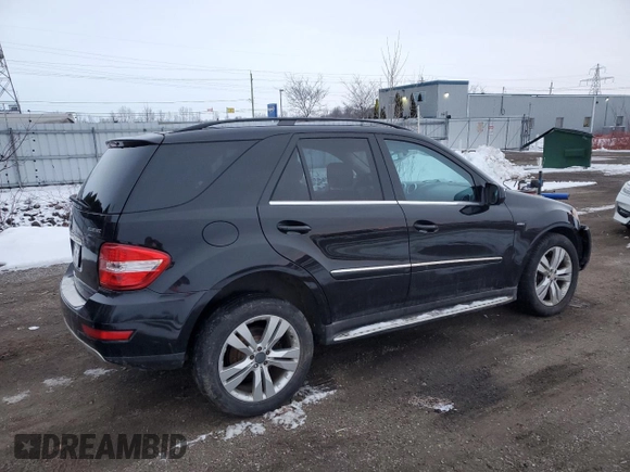 2010 Mercedes-Benz M 350 with VIN 4JGBB2FB5AA619191, listed as a Copart auction lot 85688784 with 194,003 mi miles and Salvage Title. Bid and sale history available at DreamBid. Image 3.