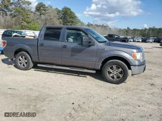 2010 Ford F-150 XL with VIN 1FTEW1C85AFB91294, listed as a Copart auction lot 48346475 with 155,723 mi miles and Salvage Title. Bid and sale history available at carsss.com. Image 4.