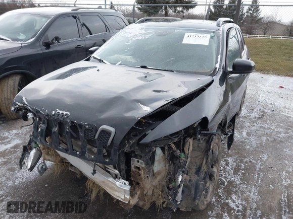 2018 Jeep Cherokee Limited with VIN 1C4PJMDX8JD530088, listed as a IAAI auction lot 41213375 with 96,210 mi miles. Bid and sale history available at carsss.com. Image 6.